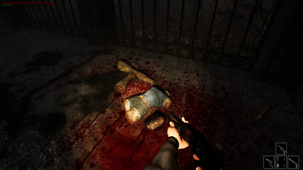 The Midnight Town Stories: Adam's Diary.