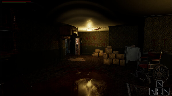 The Midnight Town Stories: Adam's Diary.