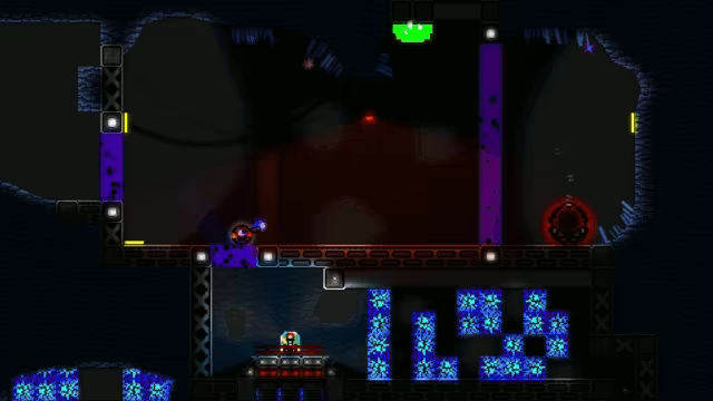 Piroot video 8