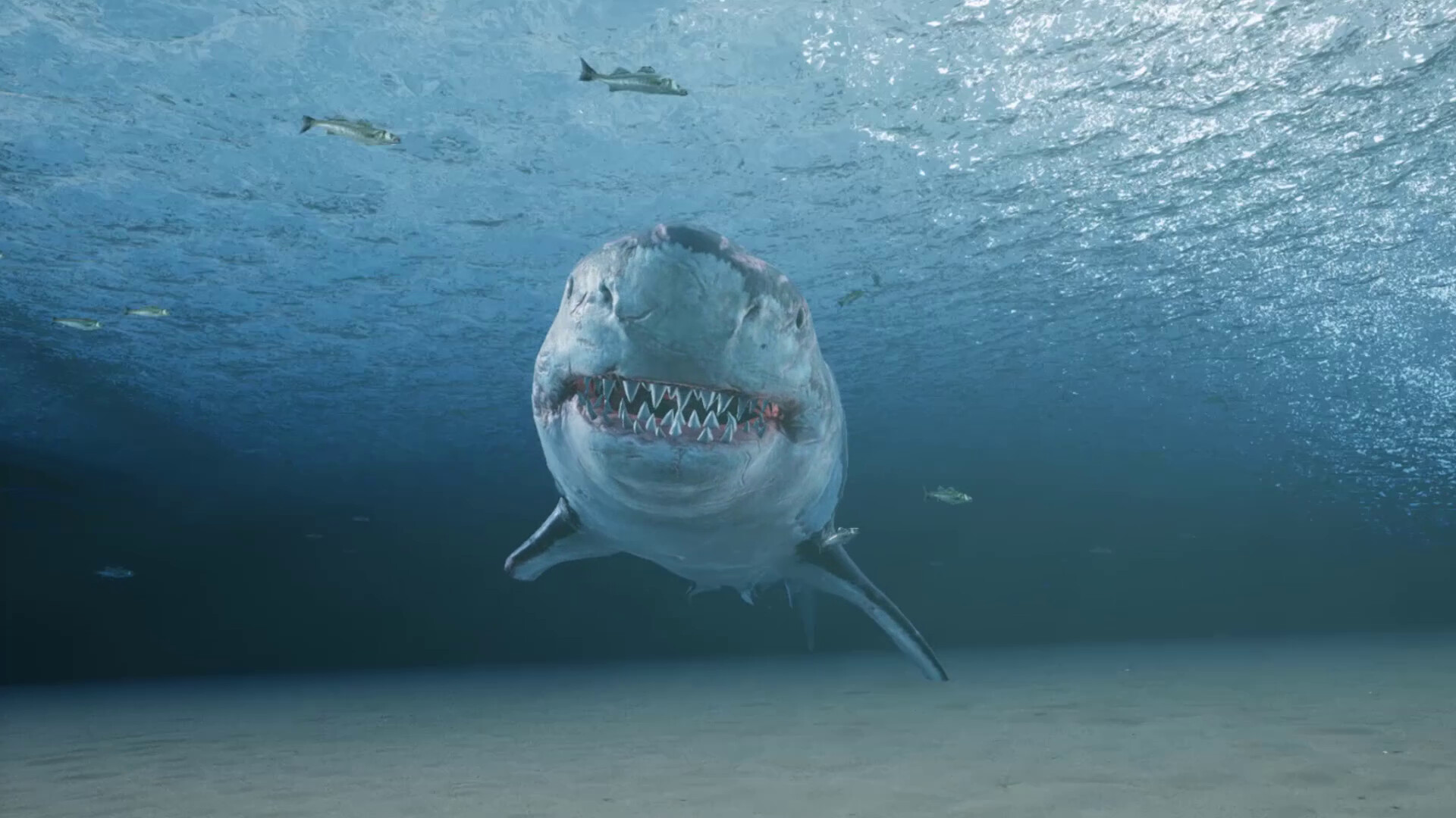 King Crab screenshot #3