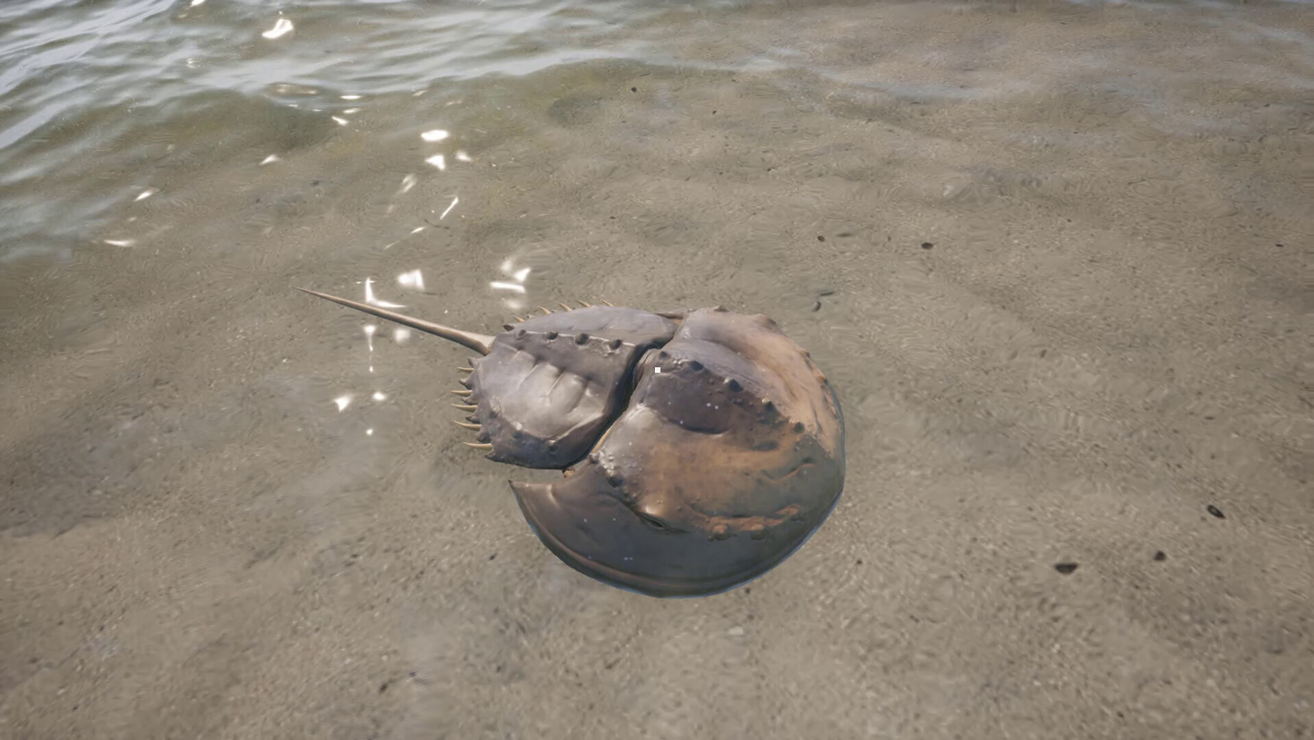 King Crab screenshot #8