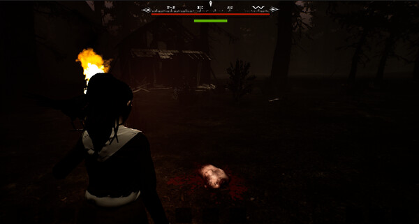 ROANOKE screenshot 5