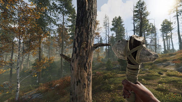 Rust screenshot