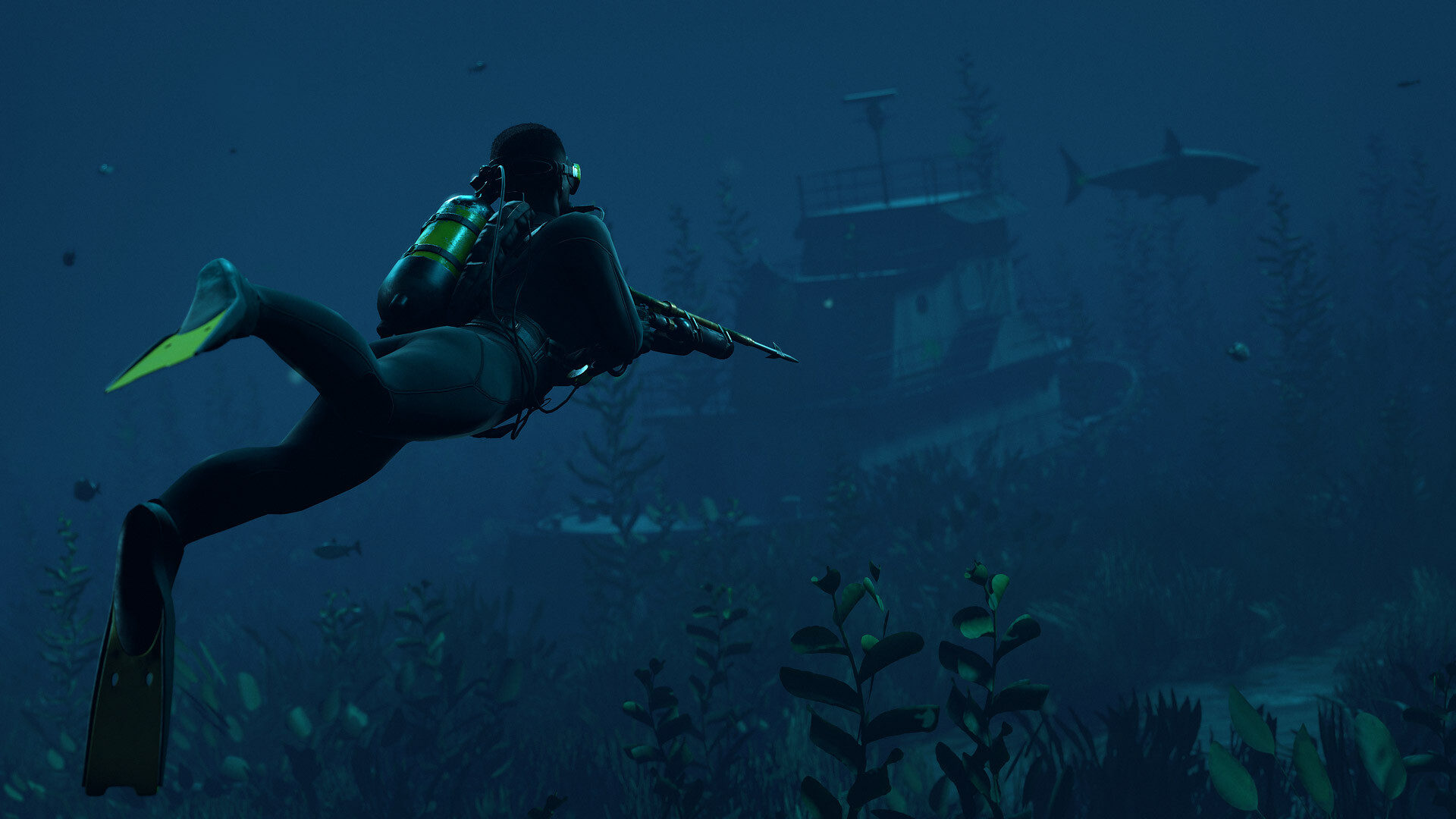 Captura 11