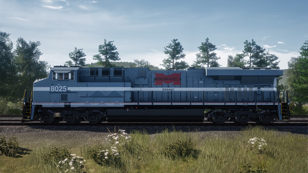 Train Sim World® 4 Compatible: Norfolk Southern Heritage Livery Collection Add-On