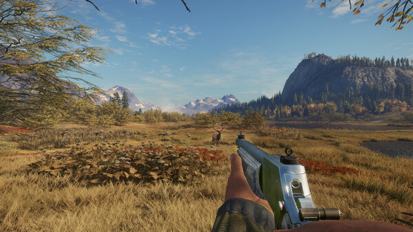 screenshot2
