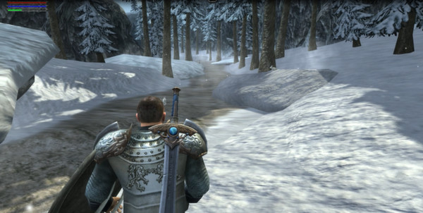 Screenshot z Ravensword: Shadowlands