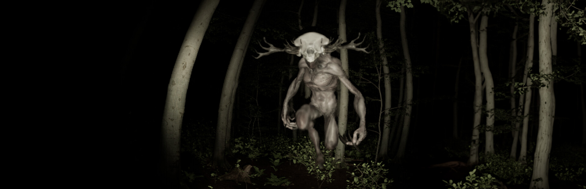 The North Woods