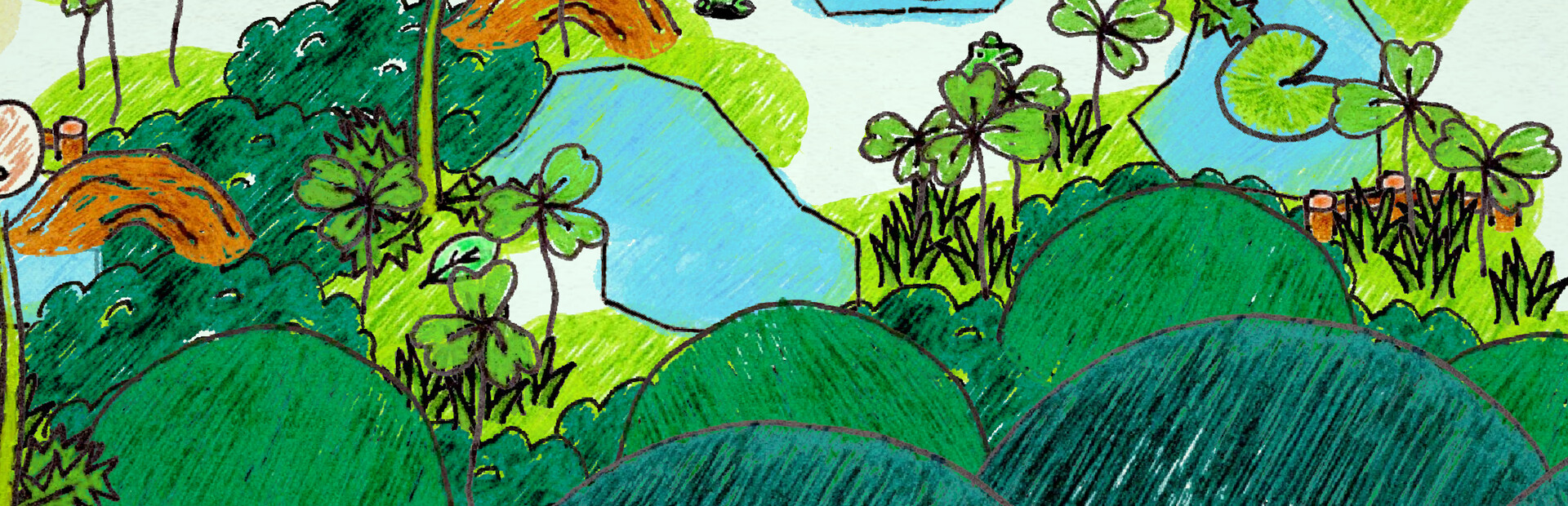 Frog's Adventure