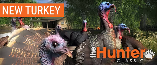 theHunter Classic image