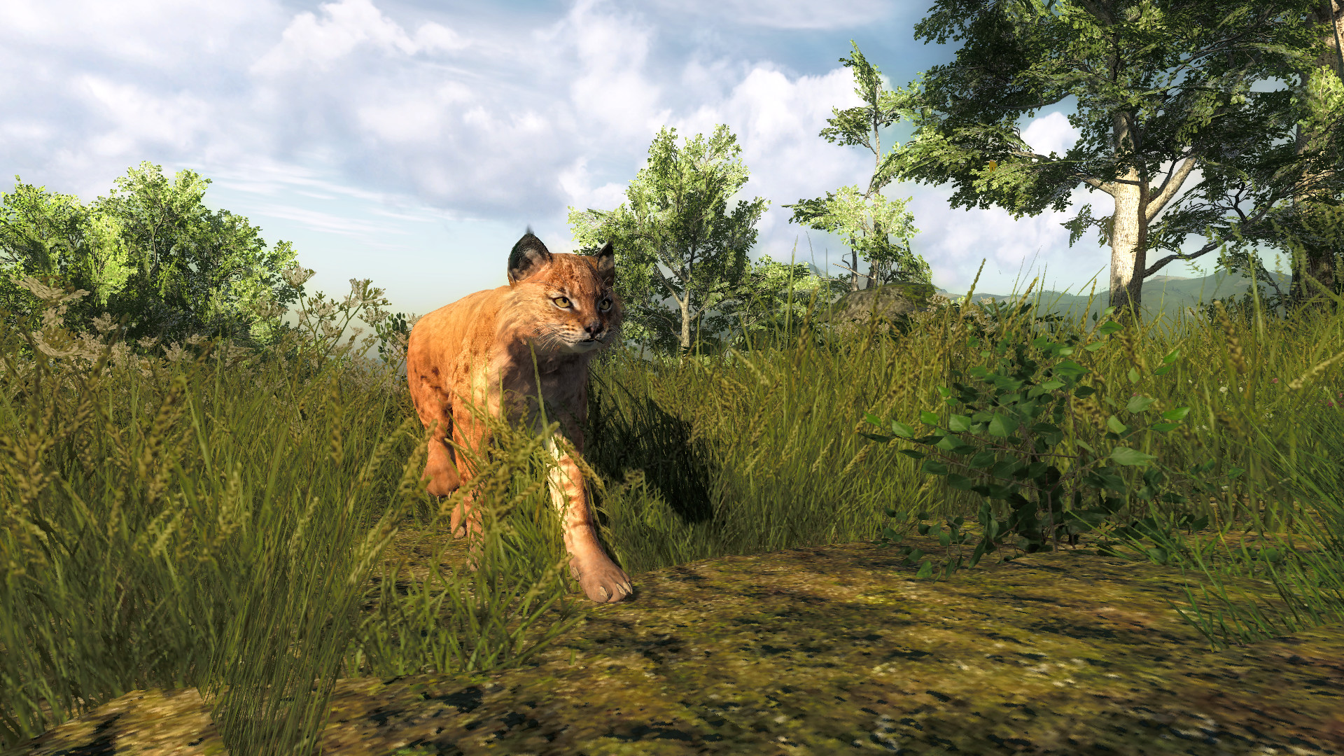 theHunter Classic screenshot 8