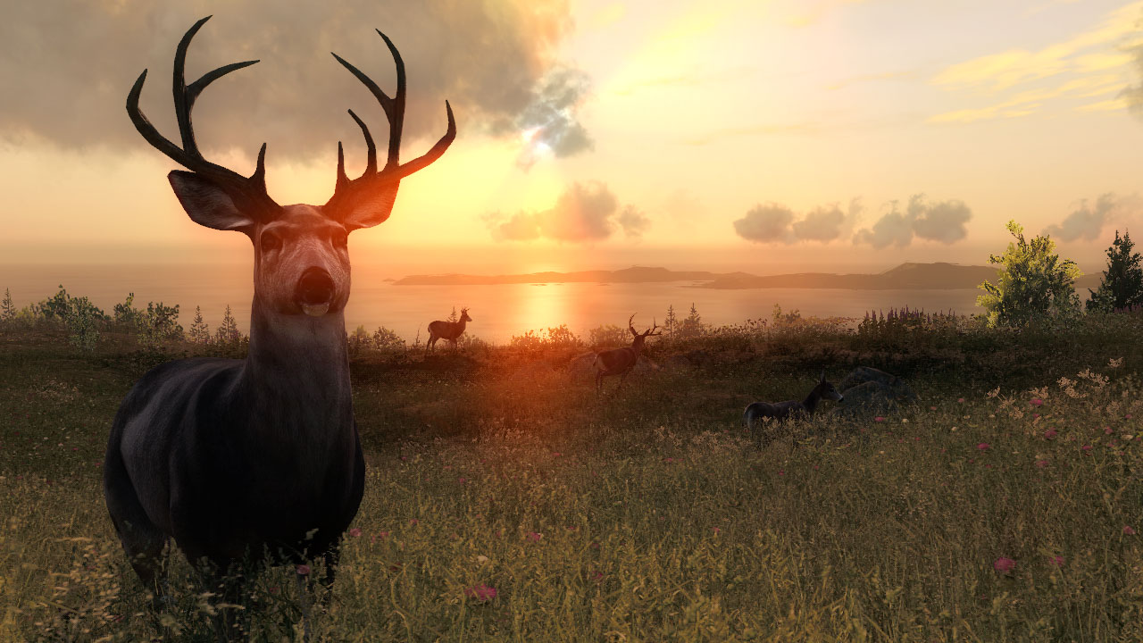 theHunter Classic screenshot 3