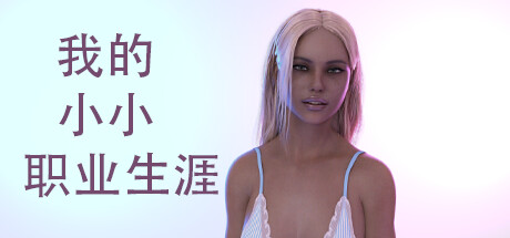 我的小小职业生涯