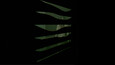 Screenshot 22