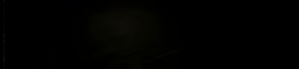 SCP: Contamination video 7