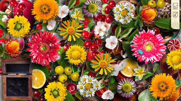 Twistingo: Turtle Bay Collector's Edition.