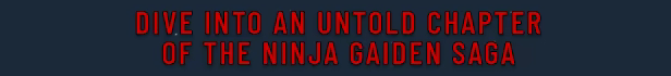 NINJA GAIDEN: Ragebound video 3