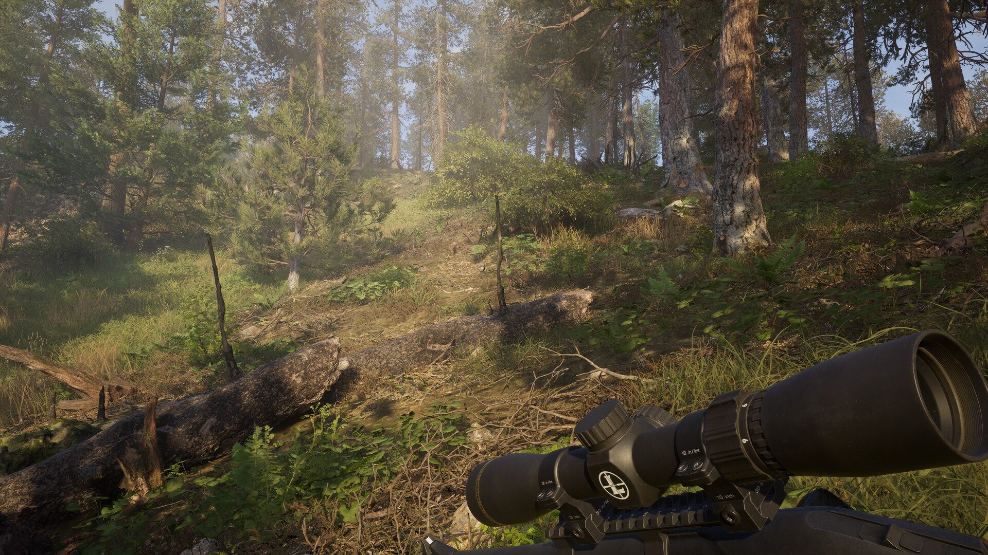 Scouting a wooded ridge through a riflescope in Way of the Hunter 2's North American region. Image: Nine Rocks Games.