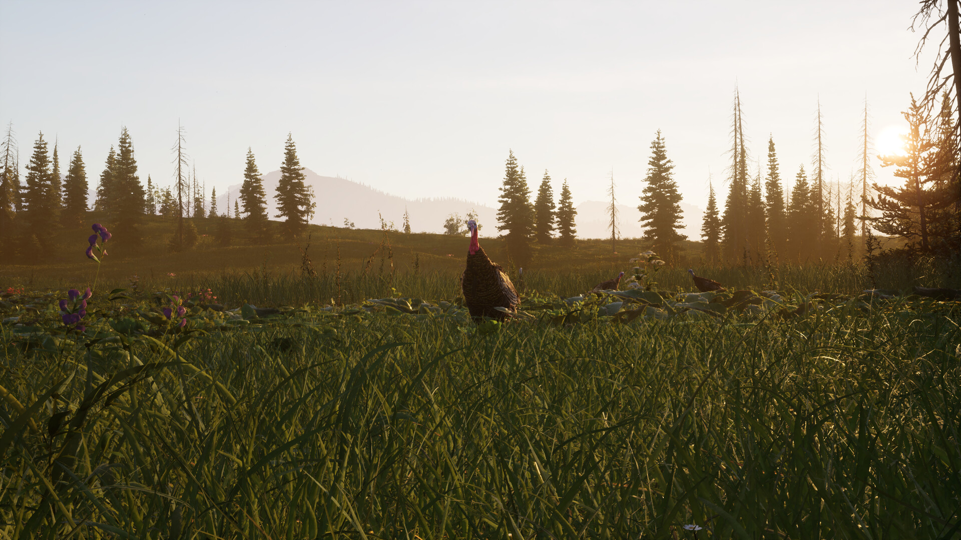 Скриншот игры Next Hunting Adventure - 6