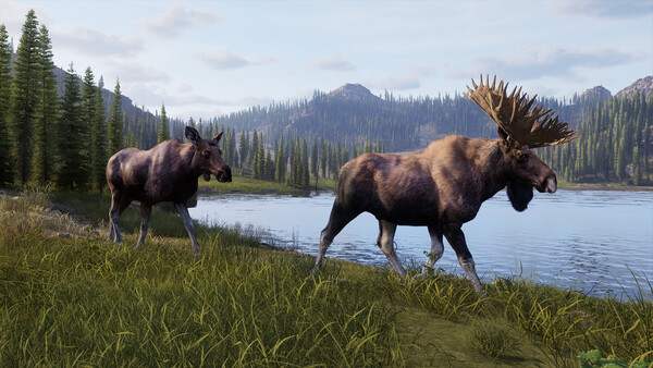 h-fit screenshot