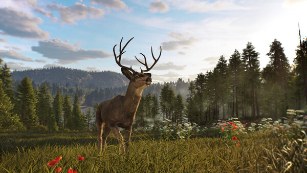 Screenshots 10