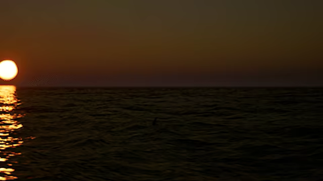 Get Them Boats: Orca Revenge video 5