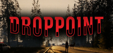 Drop Point Cover Image