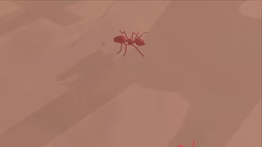 Red Antz video 1