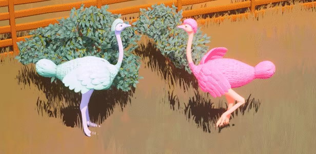 Ostrich Farm video 3