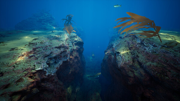 Subside Screenshot