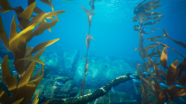 Subside Screenshot