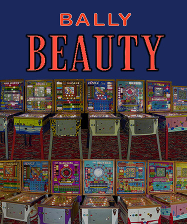 Bingo Pinball Gameroom - Bally Beauty