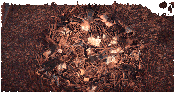 Nested Lands