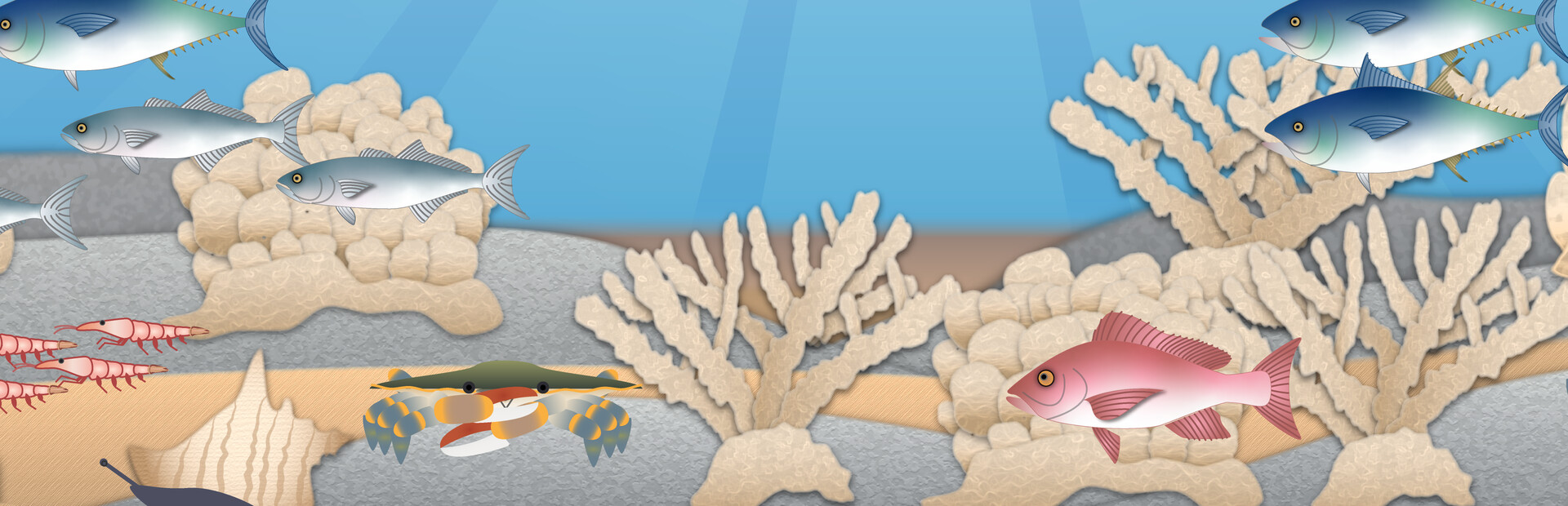 Ocean Protector
