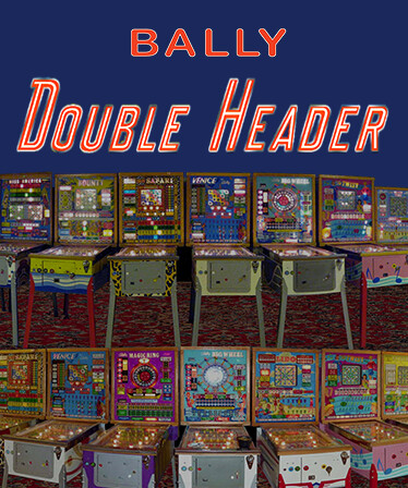 Bingo Pinball Gameroom - Bally Double Header