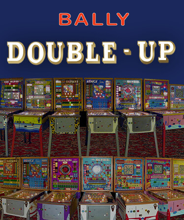 Bingo Pinball Gameroom - Bally Double Up