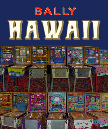 Bingo Pinball Gameroom - Bally Hawaii