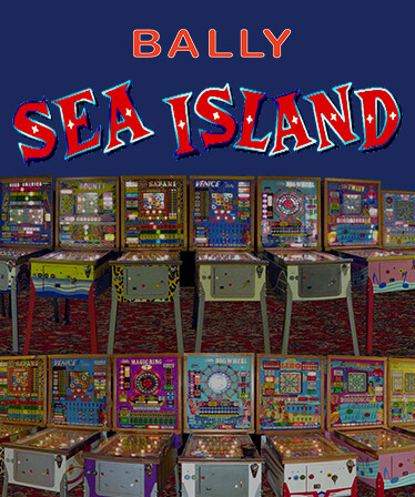 Bingo Pinball Gameroom - Bally Sea Island