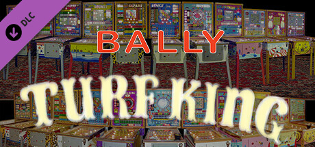 Bingo Pinball Gameroom - Bally Turf King banner image