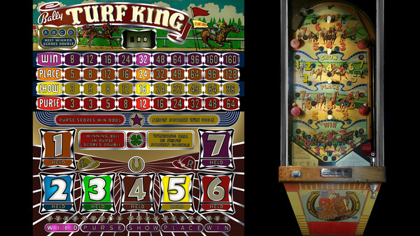 Bingo Pinball Gameroom - Bally Turf King