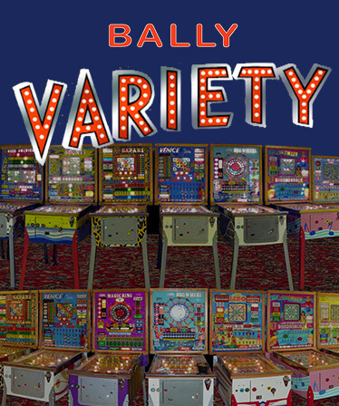 Bingo Pinball Gameroom - Bally Variety