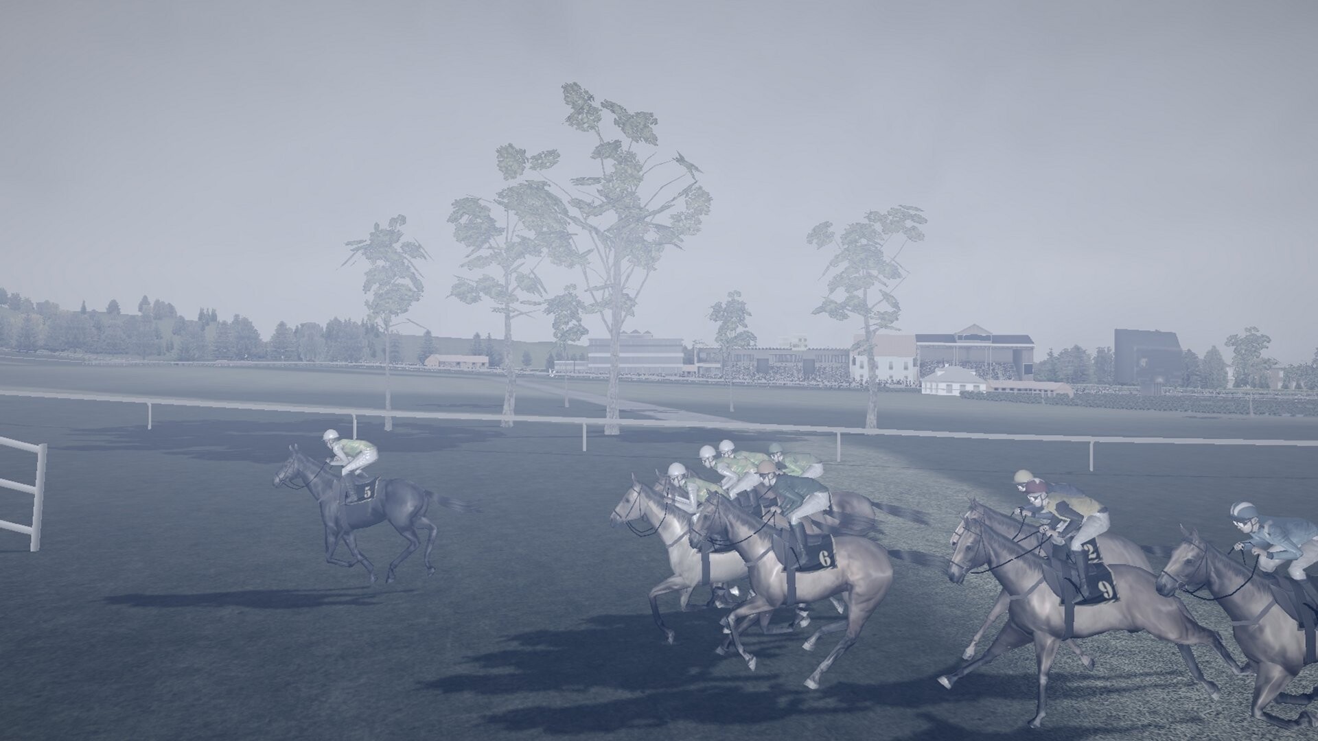 Starters Orders 8 Horse Racing screenshot #14
