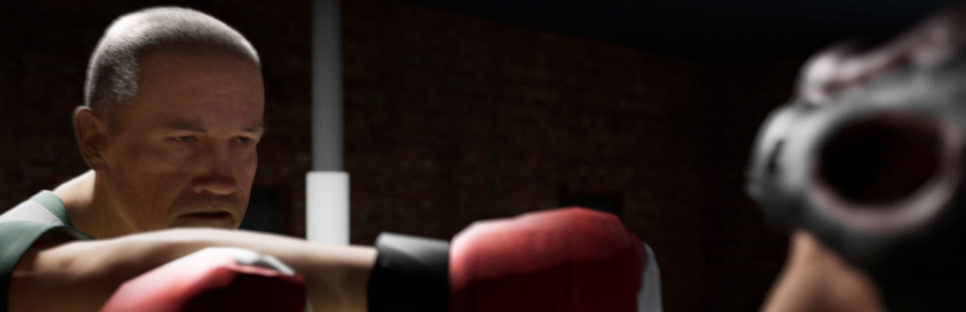 True Boxing VR