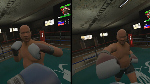 True Boxing VR.