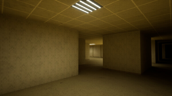 The Backrooms Deluxe screenshot 4