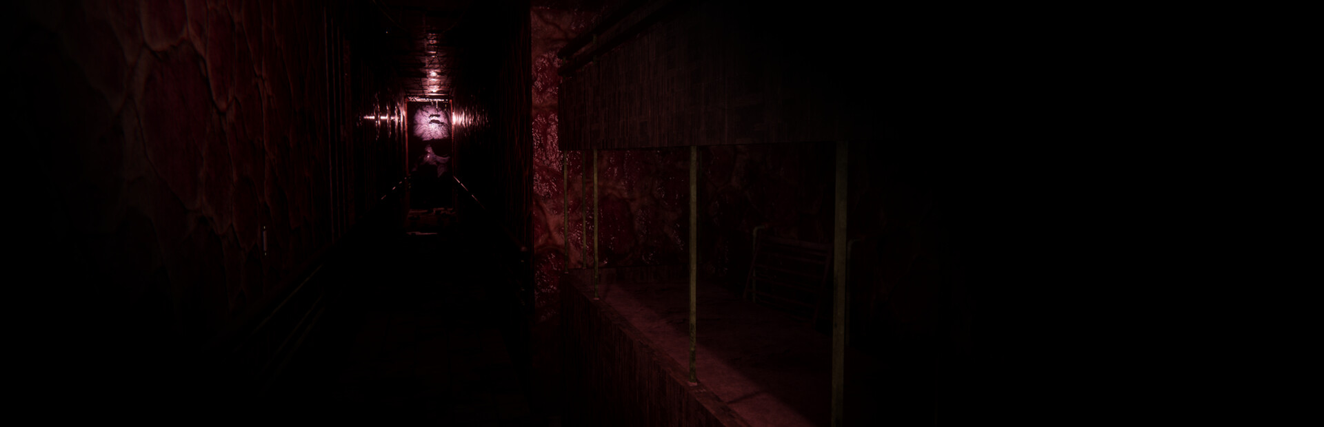 Sorrow Asylum 2