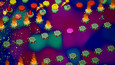 Hex Love