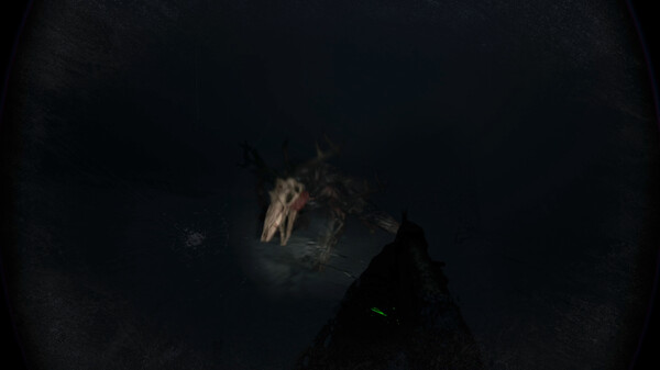 Thumbnail 13