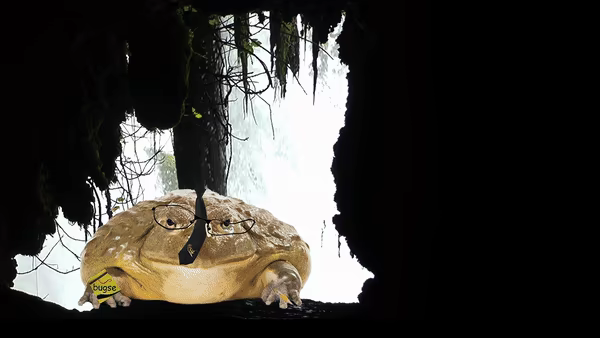 RATKING video 4