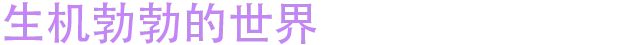 月霜游戏画面图